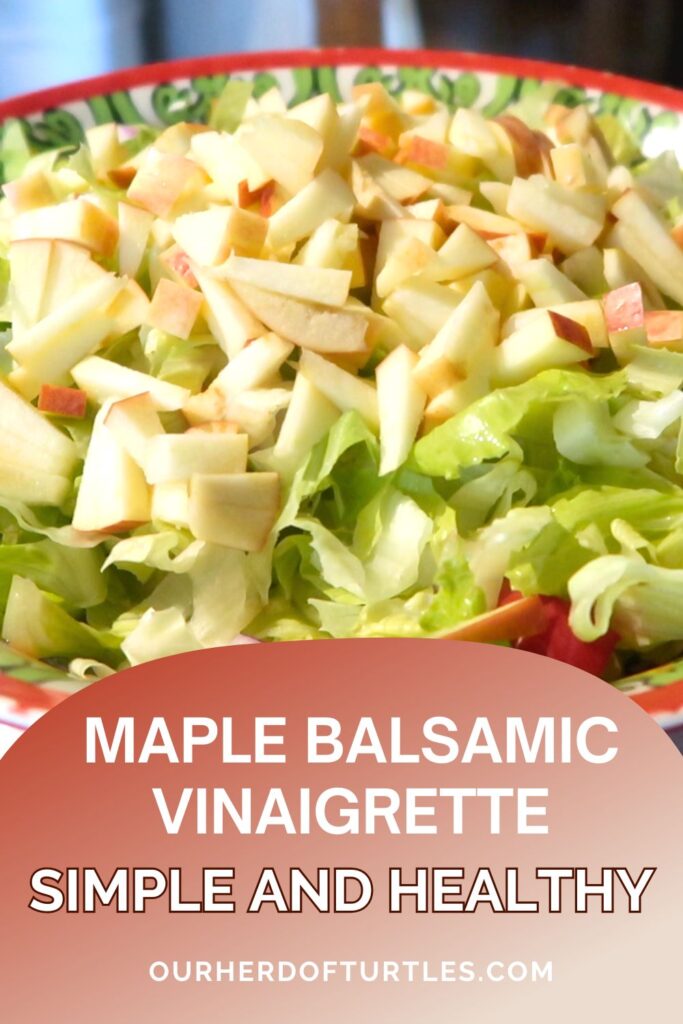 salad with chopped apples in bowl with a red rim
