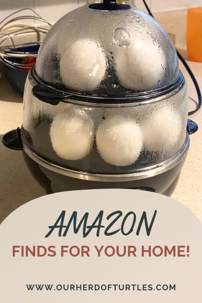 dash egg cooker on the counter filled with eggs