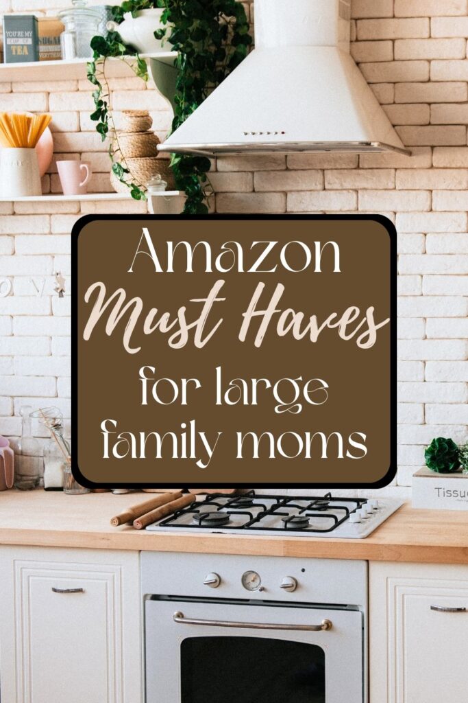 kitchen stove top and oven with shelving next to it on the wall
