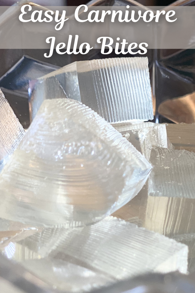 close us shot of clear carnivore jello bites